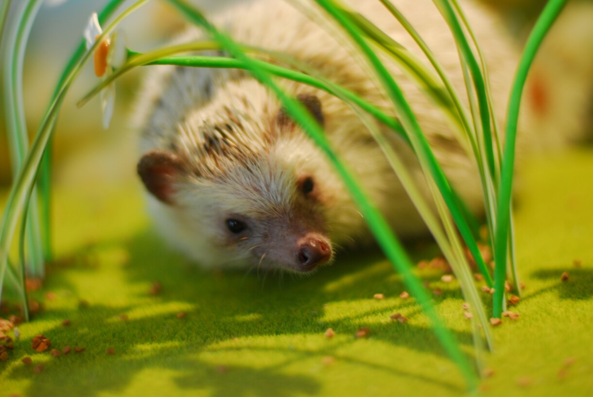 気軽にお声掛けください。ご相談相手になります 愚痴でも悩み事でもまず話してみてください♪ イメージ1