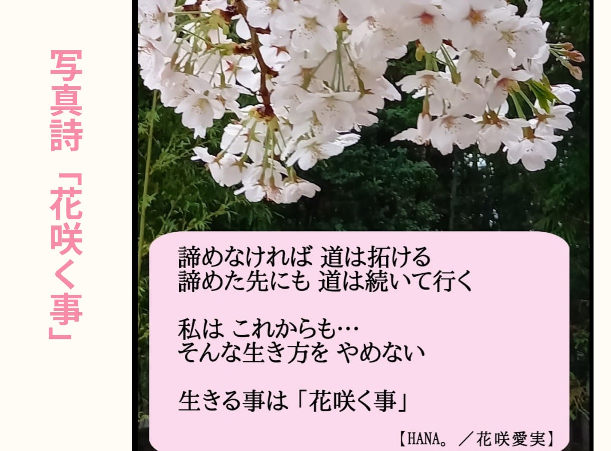 お話し相手相談相手｢言葉の花束｣をあなたに届けます お話し相手となり、貴方に寄り添うお言葉、お声掛けを致します。 イメージ4