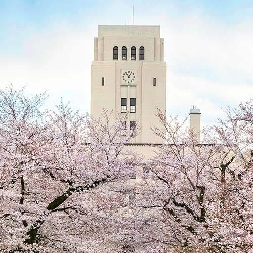 高校・大学受験の数学の家庭教師やります 公立高校から現役で東工大に合格した現役大学生による数学 イメージ1