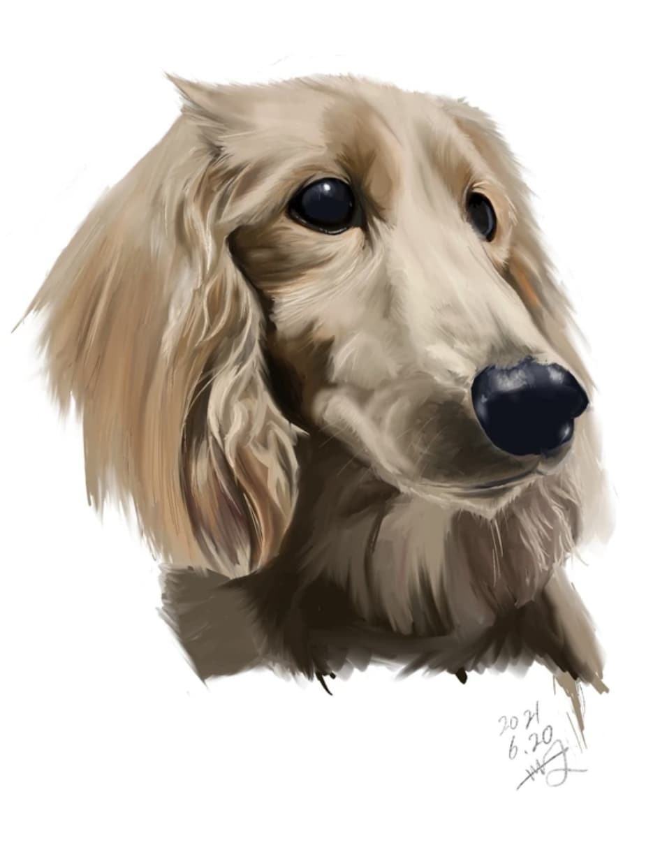 リアルなペットイラスト描きます 犬猫から爬虫類、猛禽類まで何でも! イメージ1