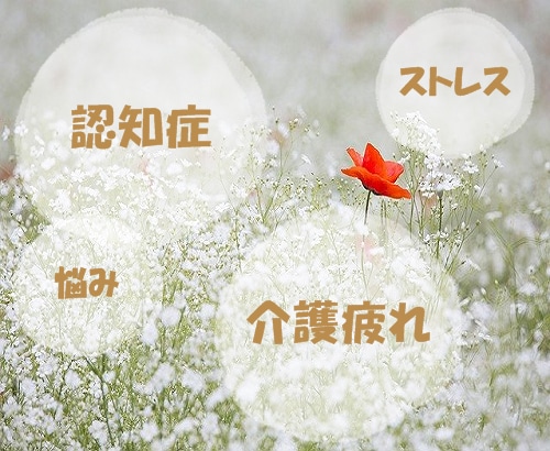 介護の悩み全般、ご相談ください。お話、聴きます 不安、お悩み、愚痴、制度について等、なんでもお聞きします。 イメージ4