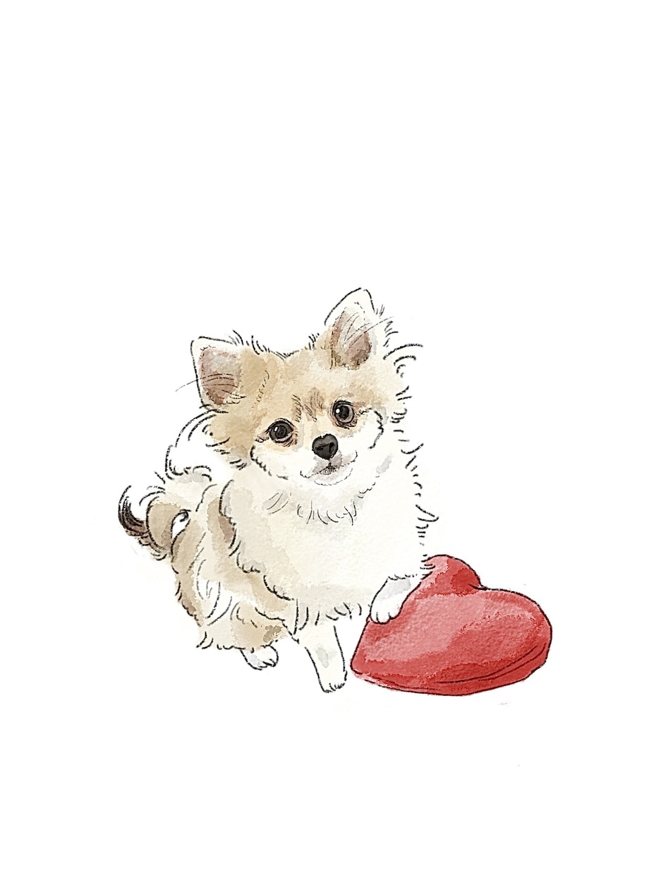 水彩風やポップにペットの似顔絵を描きます 柔らかな線画に水彩をのせたようなタッチです イメージ2