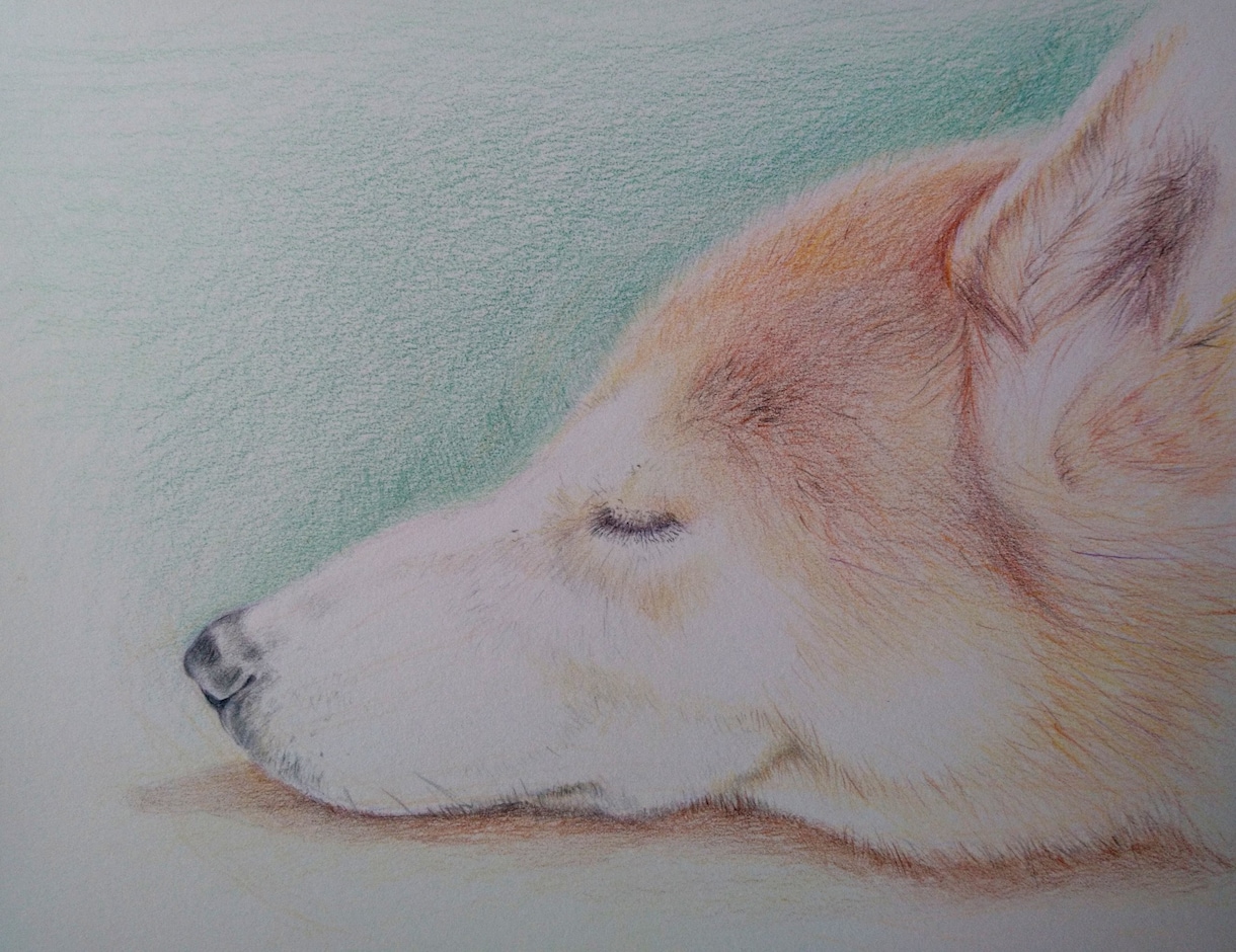 ペットの似顔絵を色鉛筆で描きます 大好きなペットとの思い出を色鉛筆画にしてみませんか？ イメージ7