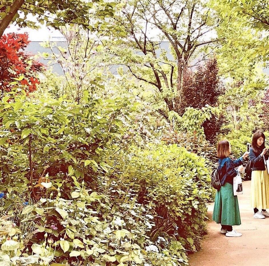 写真お譲りします 三浦半島の素敵な写真をお楽しみください。 イメージ6