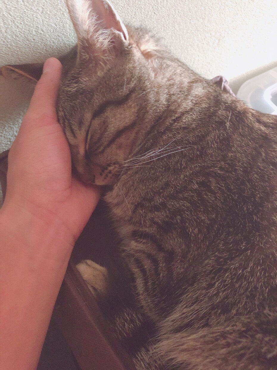 愚痴・相談・暇つぶしなどの話相手をさせて頂きます あなたの癒される場所になりたい。20代後半男子が心を込めて イメージ1