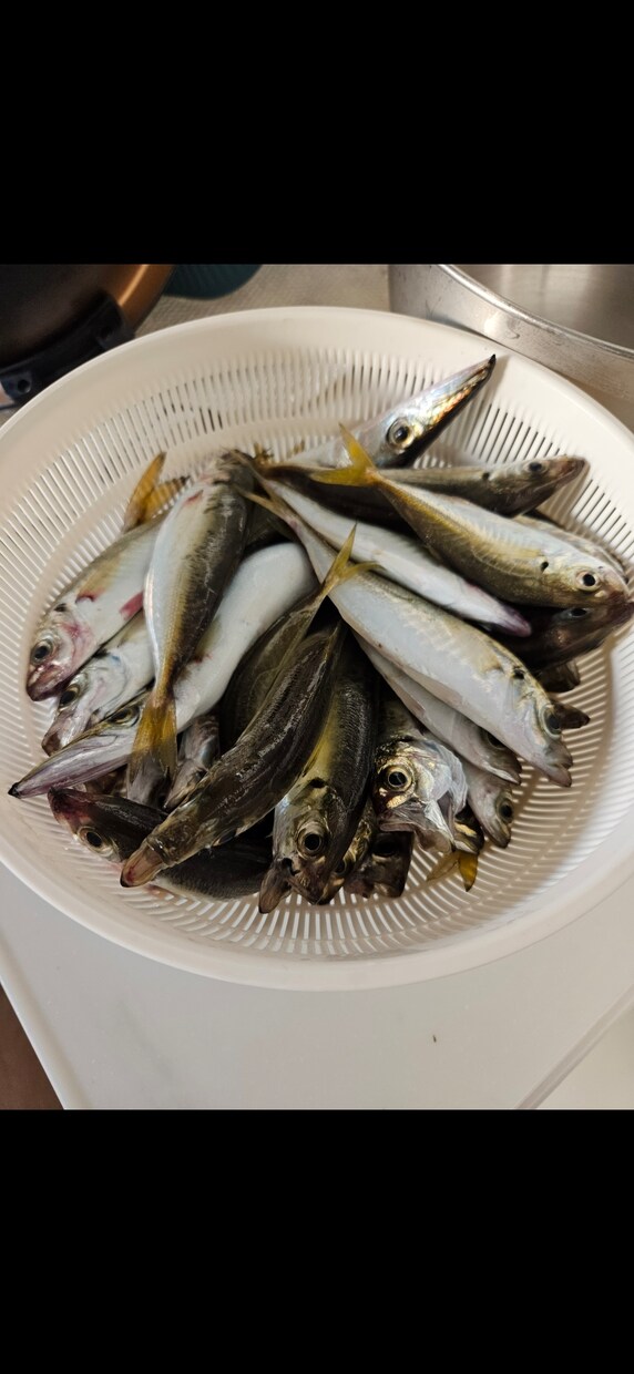 初めての釣り！わかりやすく100%優しく教えます 海釣り超初心者のための、完全個別チャット相談室です！ イメージ1