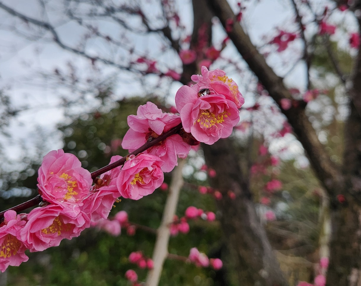 吉凶鑑定15回！お好きな時の吉凶鑑定します あなたの希望の時15回分の吉凶をプロが占います！ イメージ2