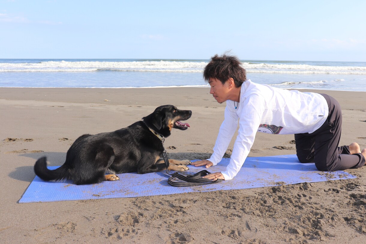 お昼のメンテナンスYOGAを受けられます ～朝・昼・夜の整うYOGA～肩・首・背中のコリ解消 イメージ3