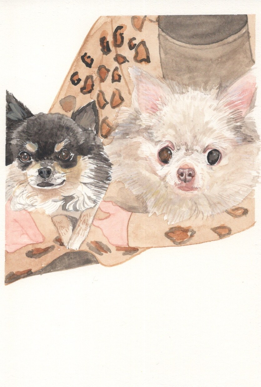どうぶつのイラスト似顔絵を描いています 優しい雰囲気に仕上げます！記念に贈り物などにいかがですか イメージ7