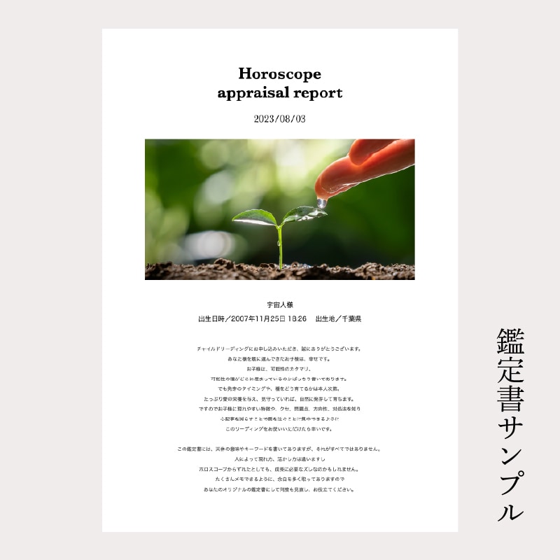 お子様のホロスコープを読みます 子供の質を知っておくと、子育ての悩みがものすごく減ります！ イメージ2