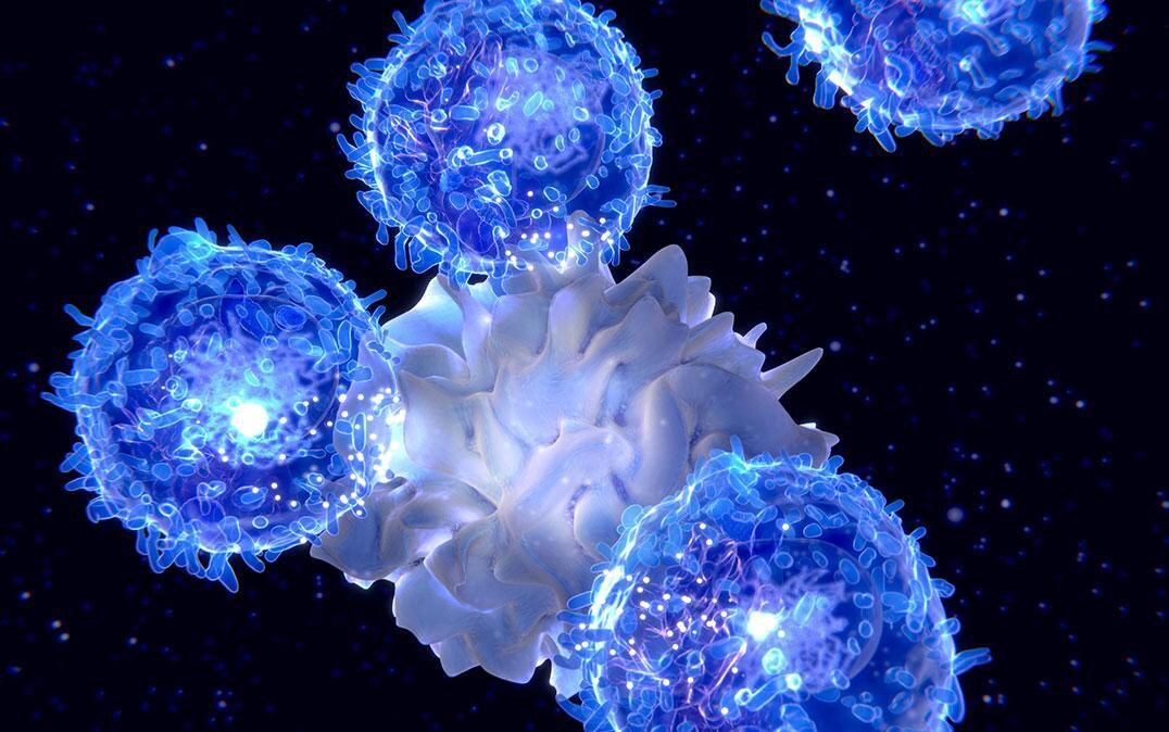 免疫力を高める生活習慣を教えます 科学的根拠に基づく実践しやすい免疫力アップ法 イメージ6
