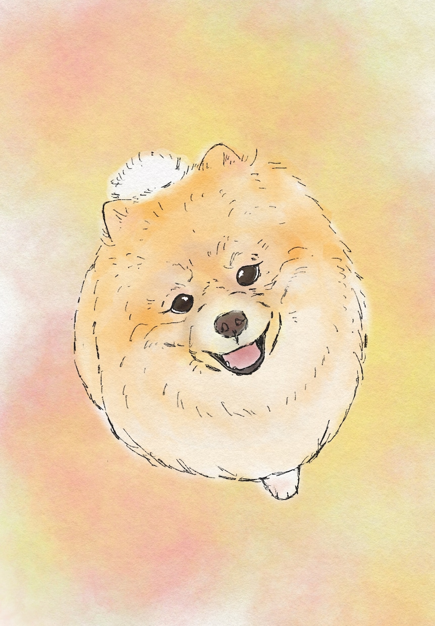 水彩風のやさしいタッチでペットの似顔絵を描きます ふんわり優しい線画で、大切な家族をイラストとして残します。 イメージ4