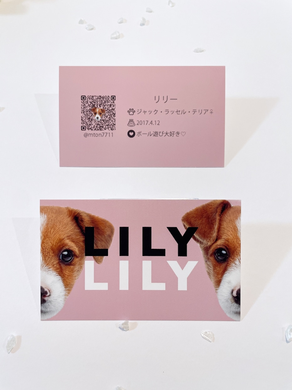 ご家族の可愛いお写真を名刺にします My fam card（マイファムカード）❶／うちの子名刺 イメージ4