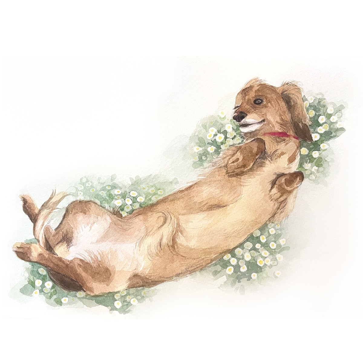 動物似顔絵・手描きの水彩で描きます 鮮やかなタッチの水彩画で、思い出をアートとして残しませんか? イメージ4