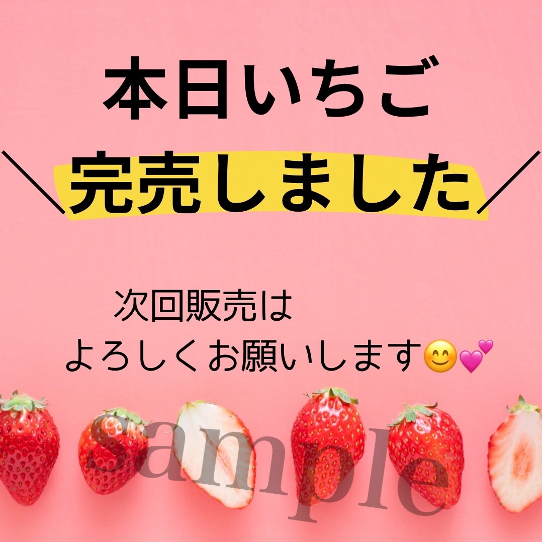 農家さん･個人販売店向け！チラシやPOPつくります 手に取ってもらえる、季節等にも合わせたチラシお作りします！ イメージ4