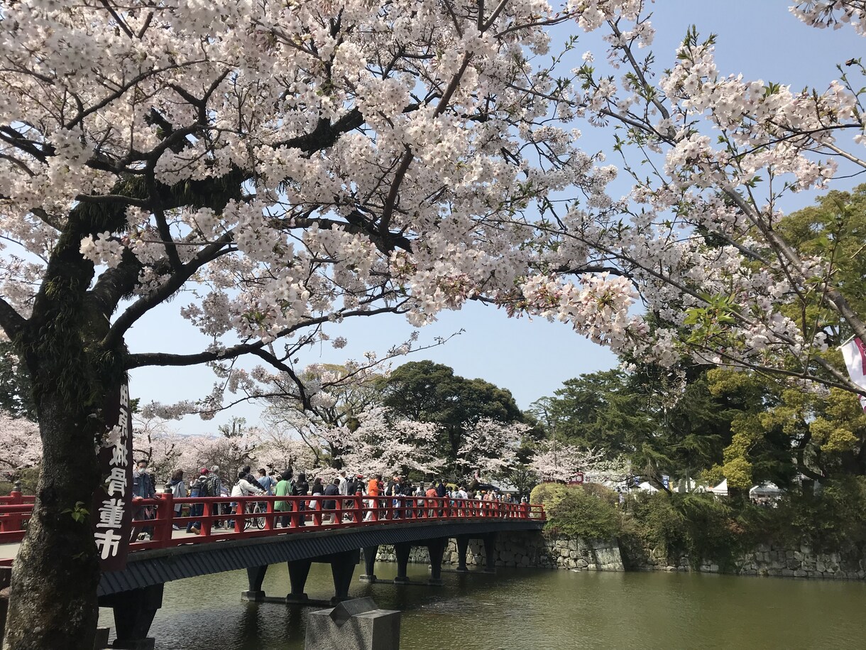 旅行会社現役社員が【日帰り旅行プラン】相談乗ります 首都圏から行けるリゾート編/箱根・熱海・伊豆・湘南・鎌倉など イメージ3