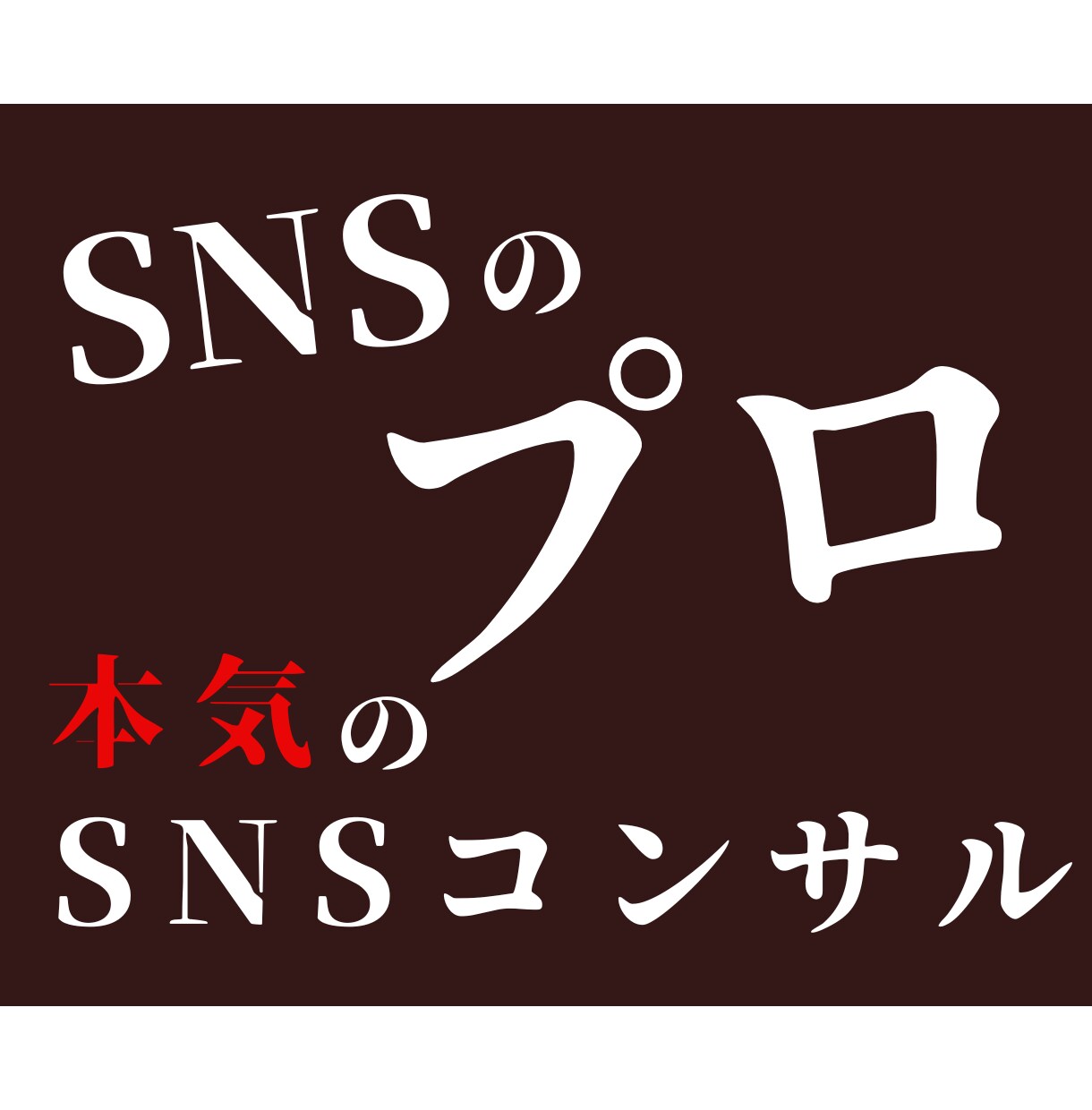 5万人のSNSマーケターが初心者でも丁寧に教えます 僕と一緒にアカウント伸ばしませんか？ イメージ1