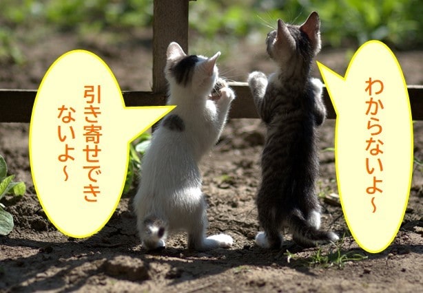 引き寄せ【Q&A】アナタのお悩み解決へ導きます 実際にココナラでご質問いただいた内容をまとめてみました☆ イメージ1