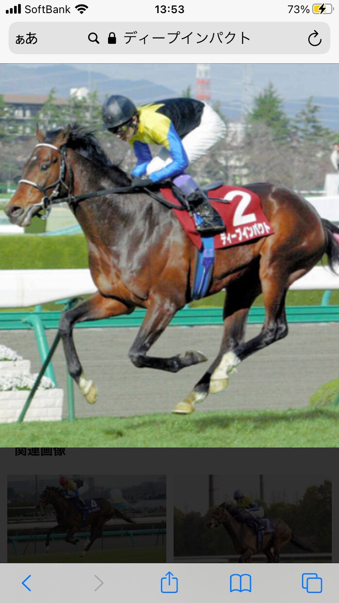 競馬予想、指定したレースの予想いたします 当たる予想、予算にあわせて買い目予想提供します。 イメージ1