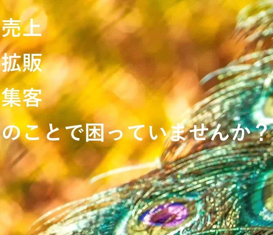 アクセサリー市場マーケ、0からアドバイス致します 現役マーケターがアクセサリーを本気で売りたい方へご提供します イメージ1