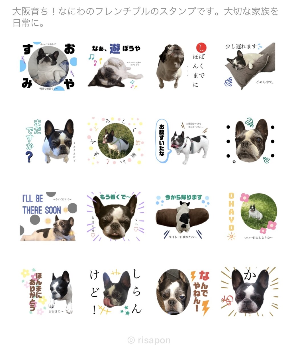 大切な家族(ペット)のスタンプ作ります 大切な家族を日常に。写真でペットのスタンプをお作りします イメージ3