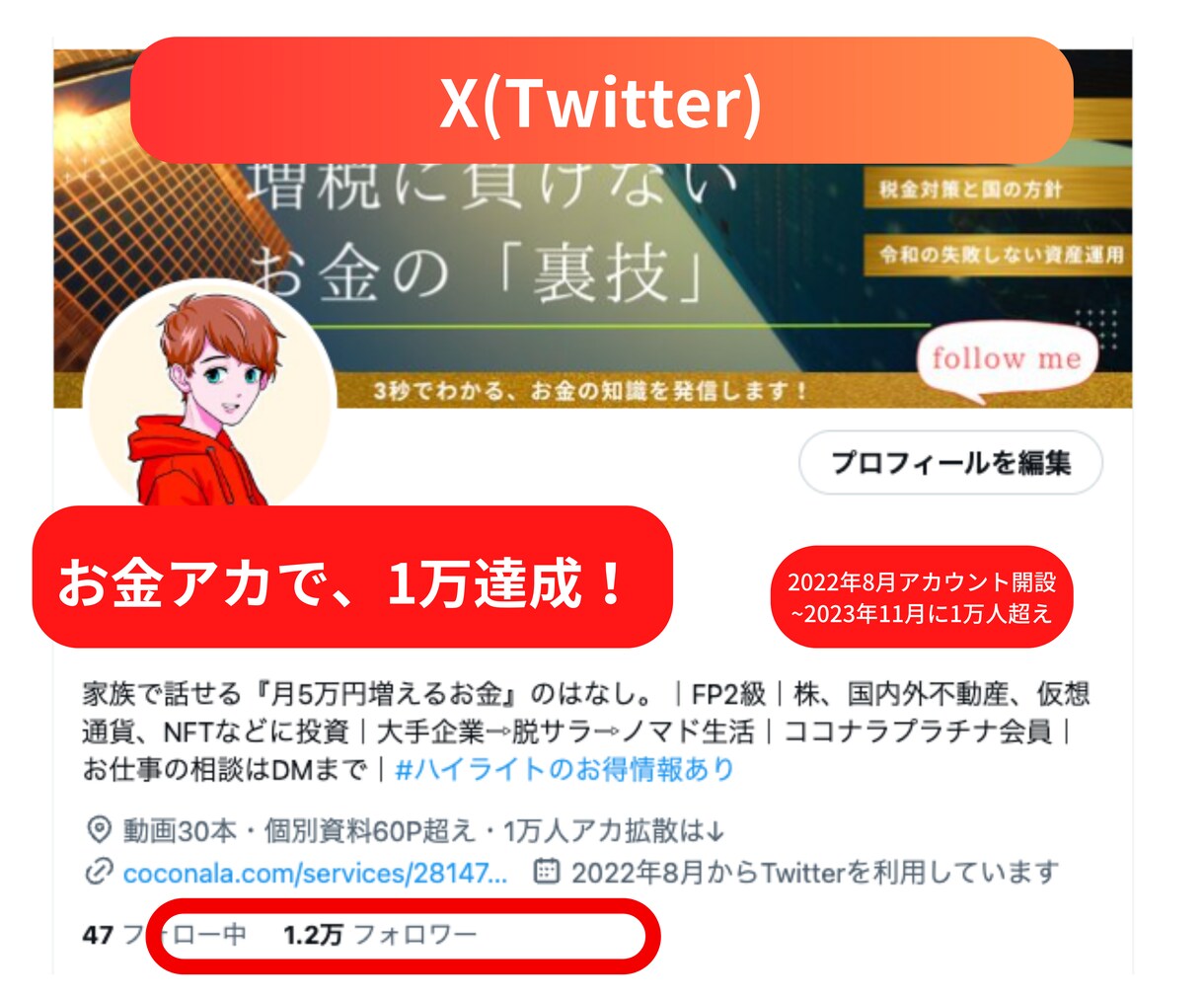 お金の悩みをファイナンシャルプランナーが解決します 資産運用・ライフプラン・新NISA・不動産など大丈夫？ イメージ4