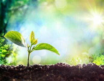お子様の性格と適性、効果的な接し方をお知らせます ホロスコープからお子様の性格と適性効果的な接し方を鑑定します イメージ1