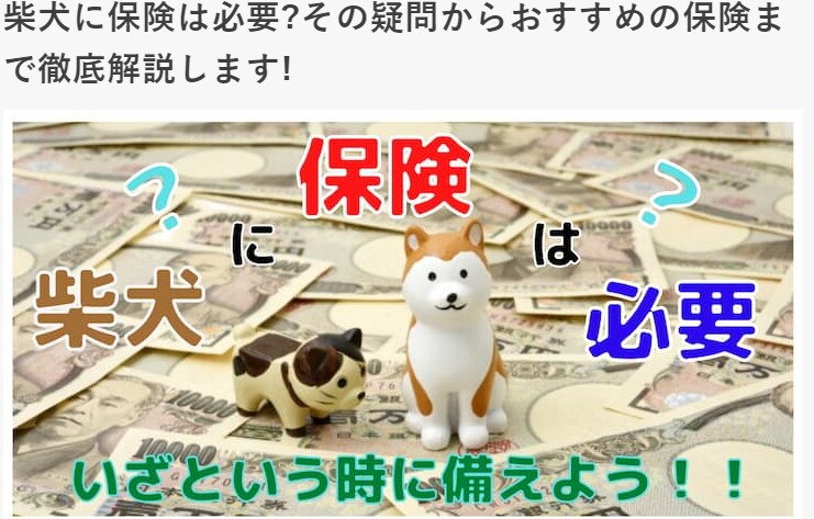 わかりやすく、読みやすいライティングします 「SEO × 読みやすさ」に特化したライティングいたします。 イメージ3