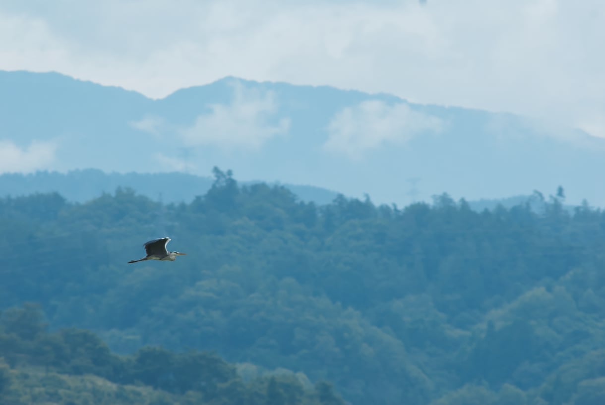 長野県(南信の風景)写真を出品いたします 田舎の風景写真が安くほしい方はご利用ください イメージ1