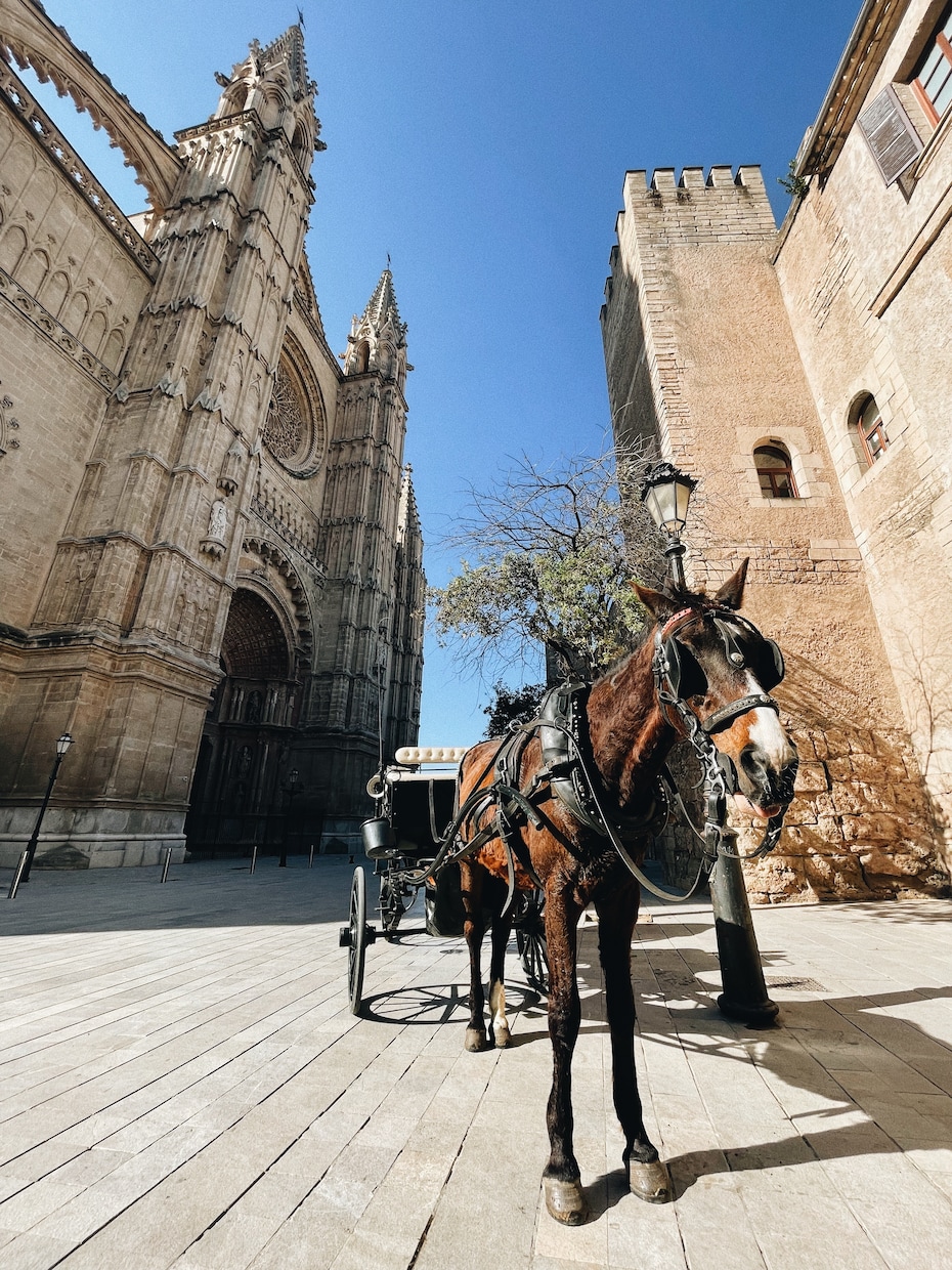 ヨーロッパ・スペインの風景の写真を撮影いたします 現役フォトグラファー！素材サイトで写真販売中 イメージ6