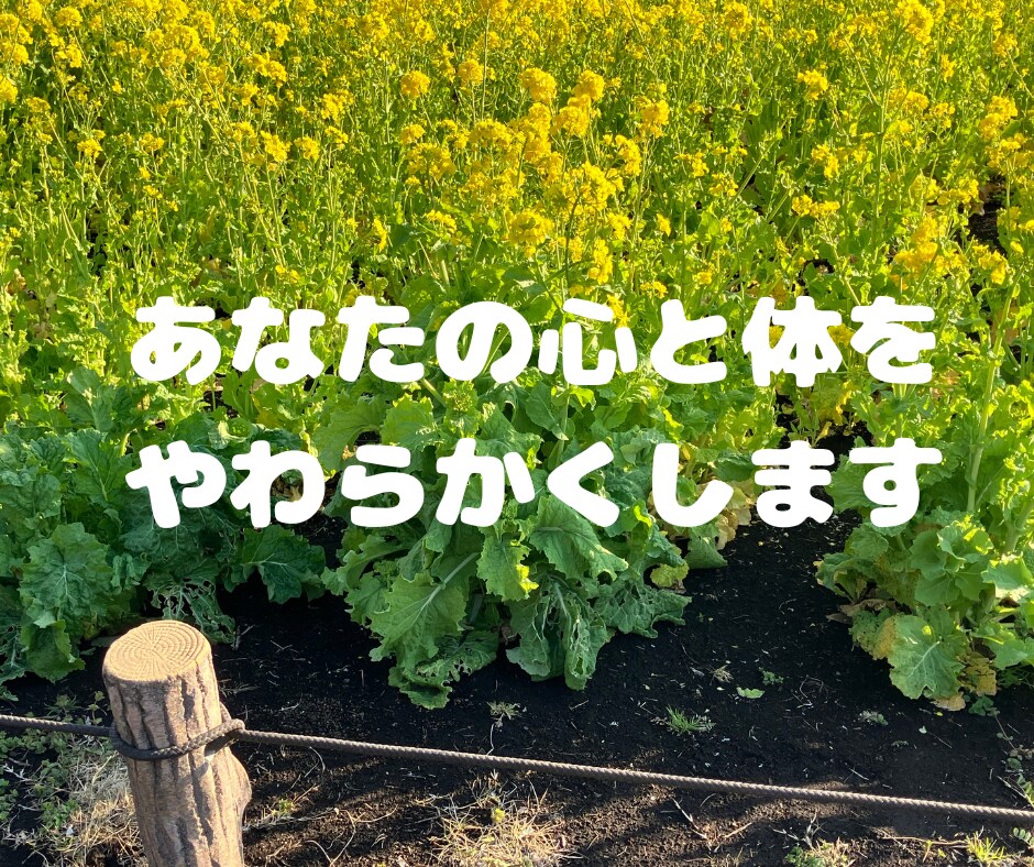 気分変調性障害当事者が丁寧に寄り添います 症状/うつ病との違い/双極性障害との違い/悩み/不安 イメージ3