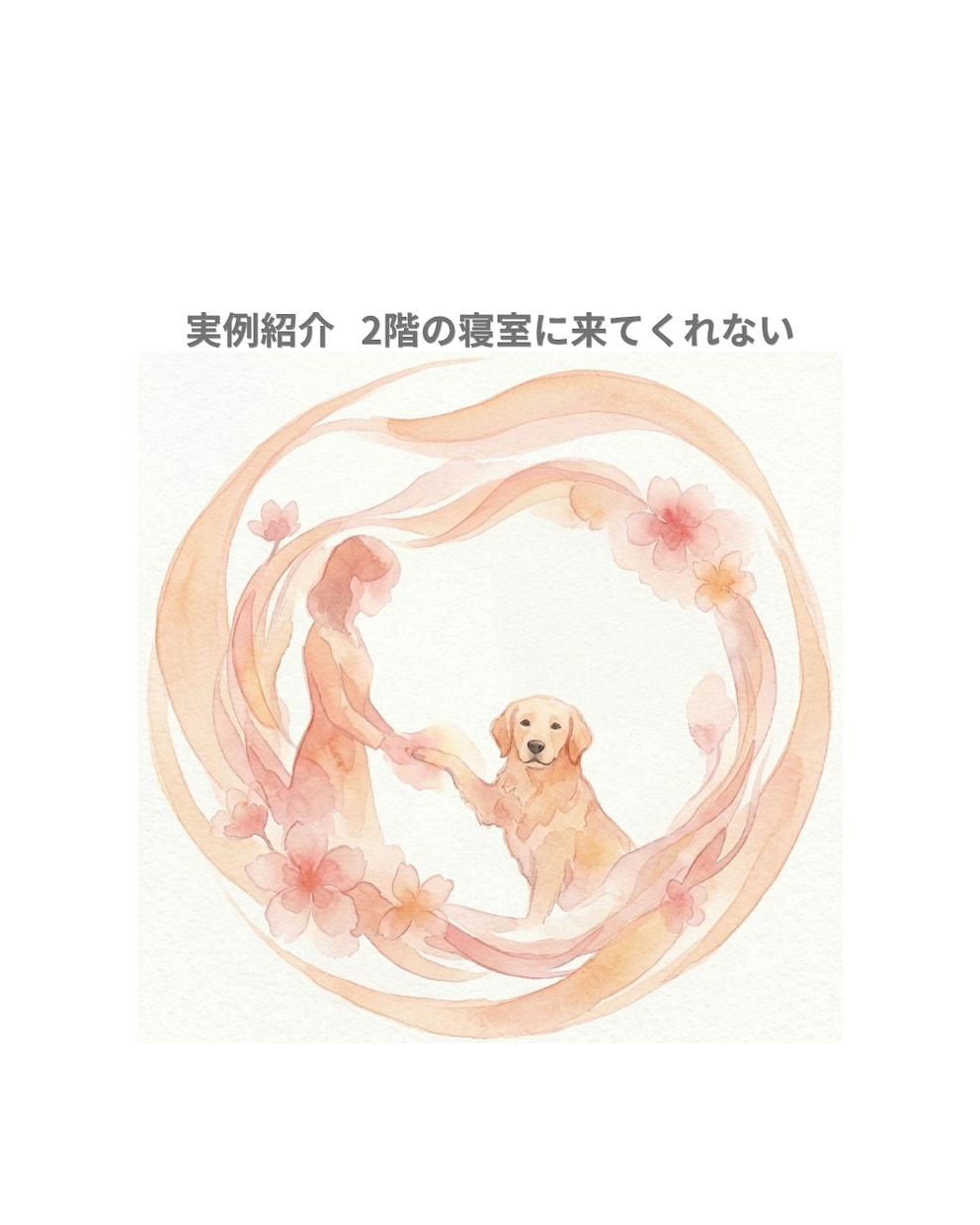 ペットの気持ちをアニマルコミュニケーションで視ます 限定特価中◆犬・猫・鳥・うさぎなどの動物を鑑定致します イメージ7