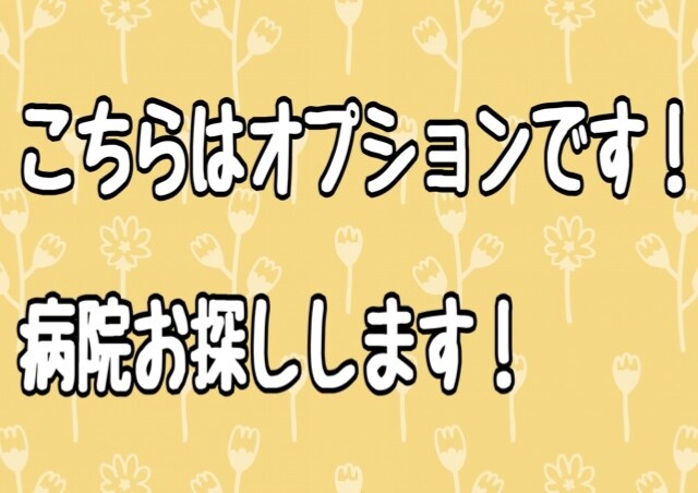 お近くの動物病院探します こちらオプションです。電話相談の方で希望する方はこちらにて イメージ1