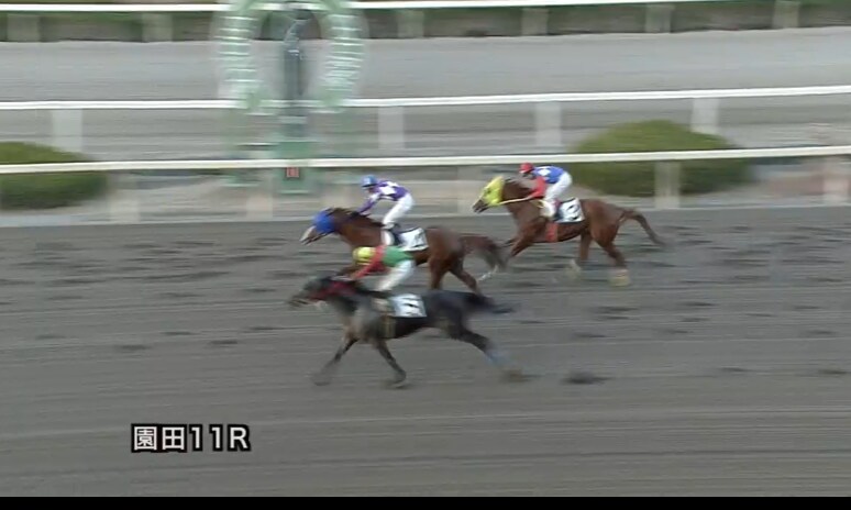 競馬で当てる方法 イメージ1