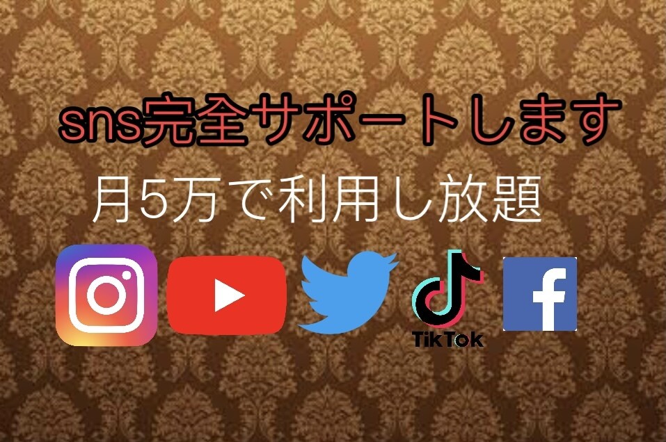 youtubeやsnsの全てサポートします sns完全サポート月5万円で(RIPITOSA) イメージ1