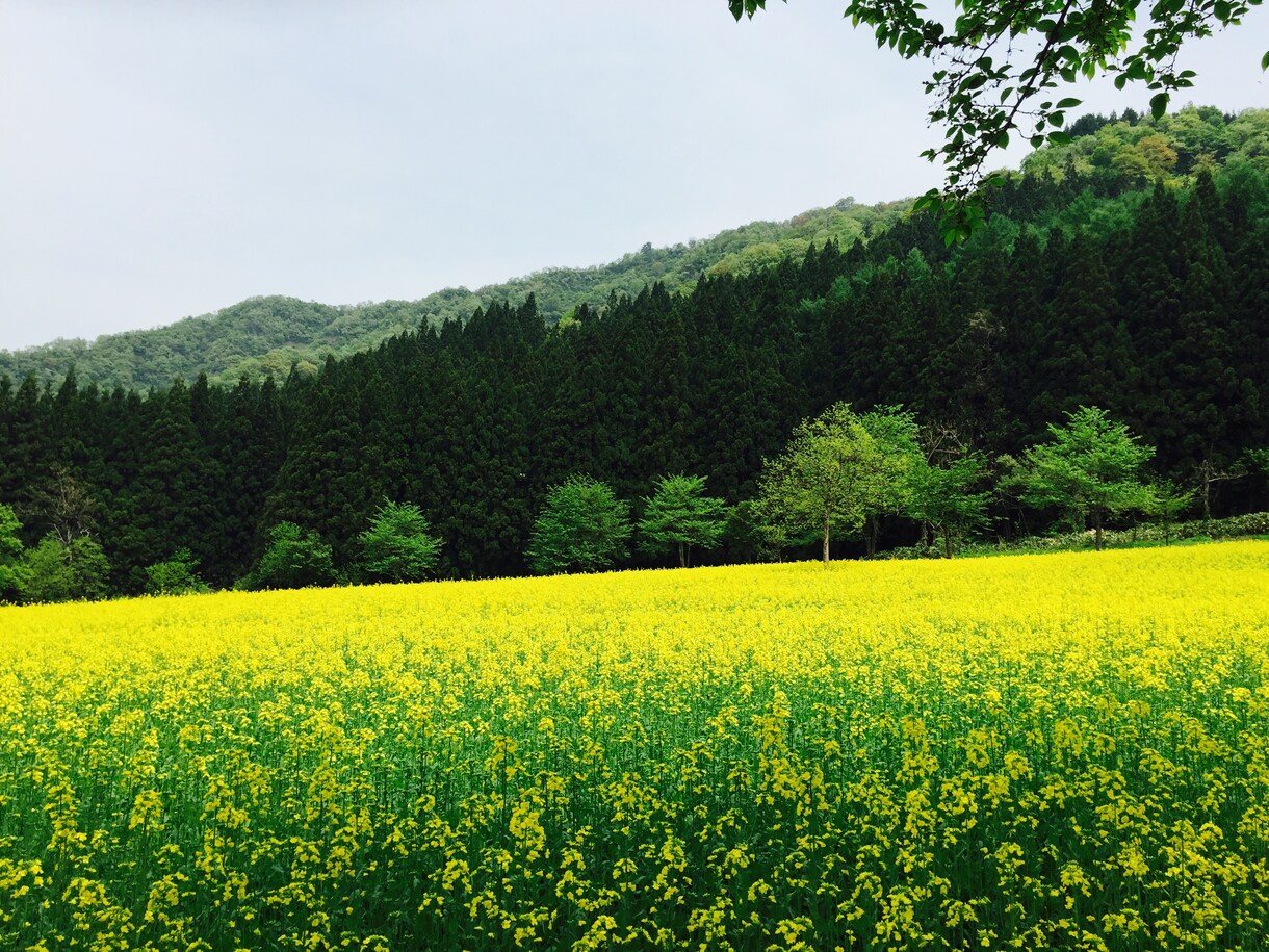 心の「浄化」いたします 近いからこそ話せない。相談する人がいない。話すのが恥ずかしい イメージ3