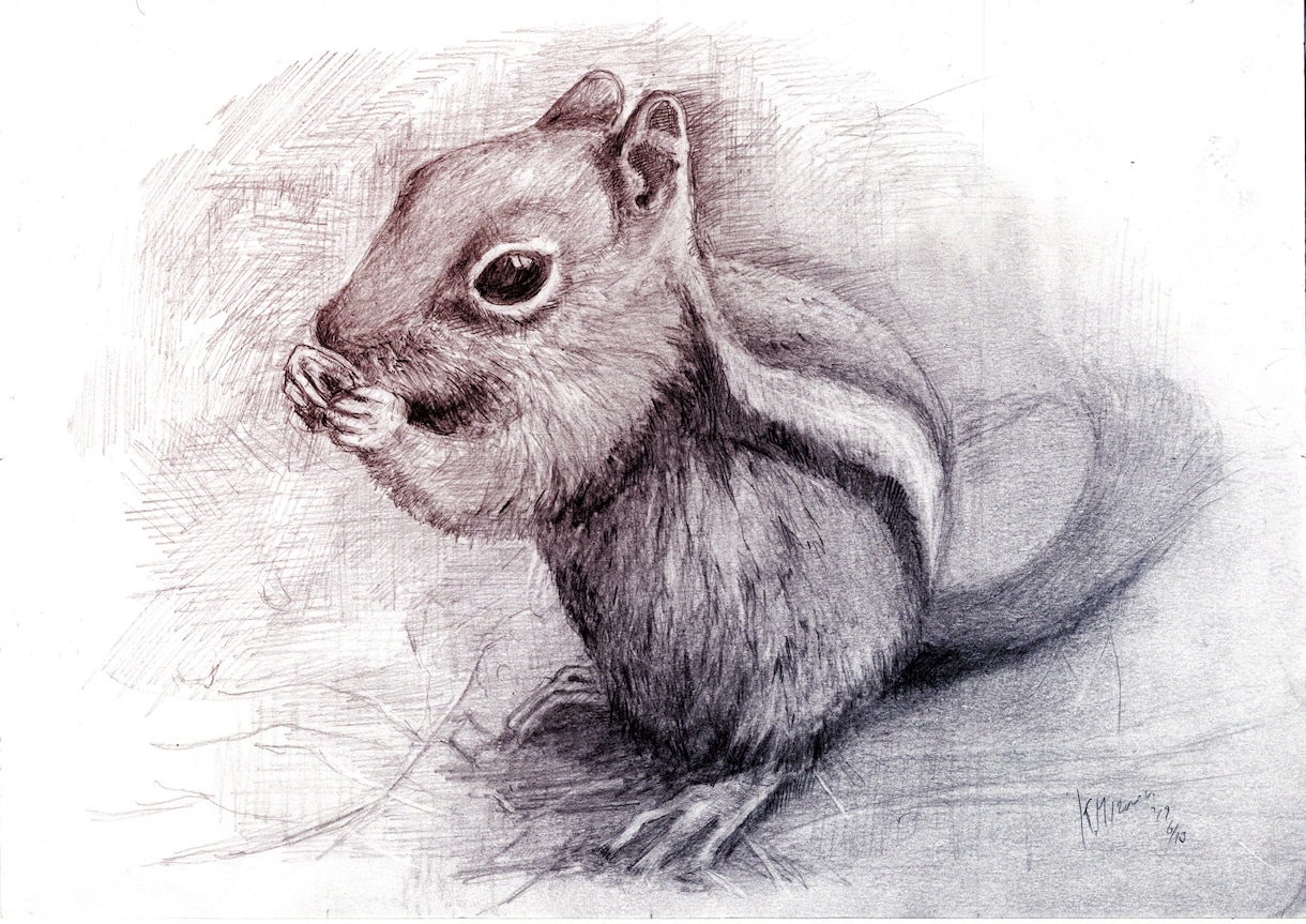 温かみのある鉛筆画でペットさんの絵をお届けします いろいろな動物描けます！記念やプレゼント用に イメージ5