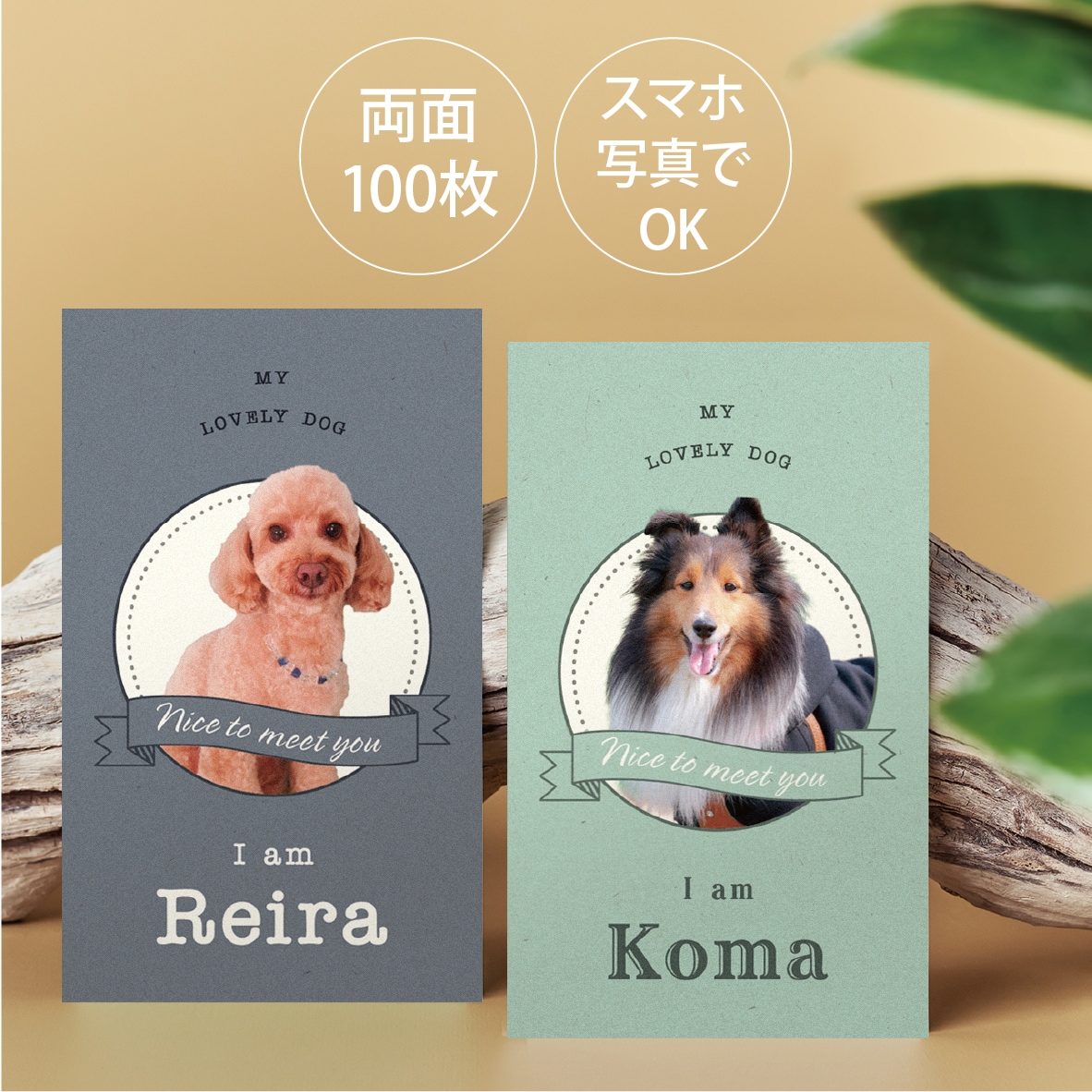 写真入り犬猫ペット名刺　色と書体が選べます 歴15年のデザイナーが作るセミオーダー名刺100枚送料込 イメージ1