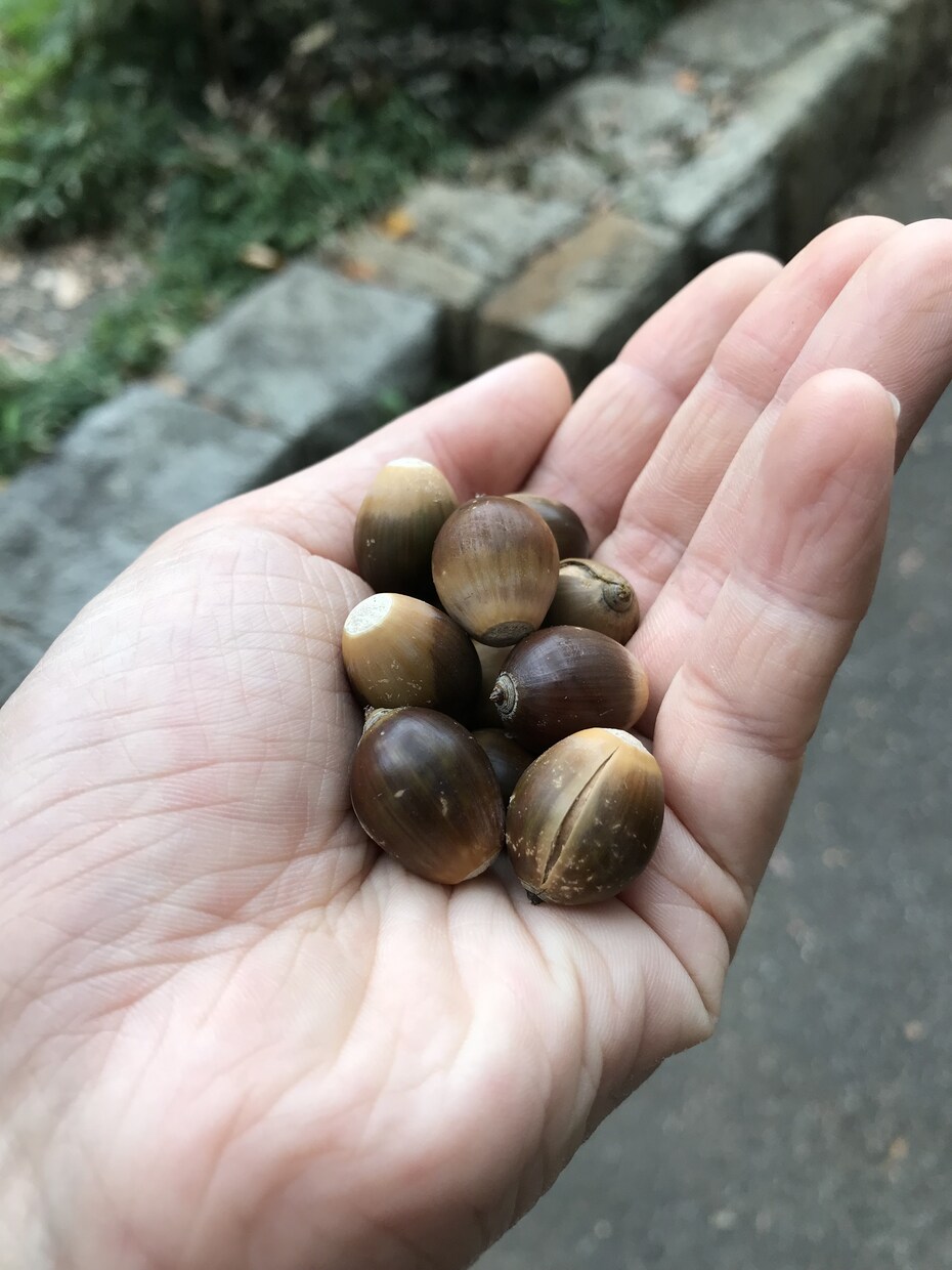 ワクチン接種後、コロナかも??ドッキドキ♡聞きます 副反応嫌! 来るならこい！でも怖い(--;) そんな思いに イメージ6
