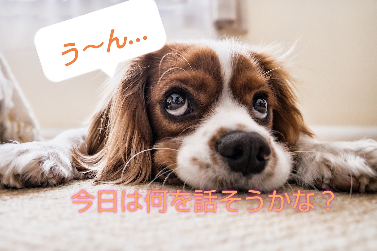 心配や不安なこと、今話したいこと何でも聴きます 今すぐ誰かと話したい・聞いて！をお話ししましょう☆ イメージ1