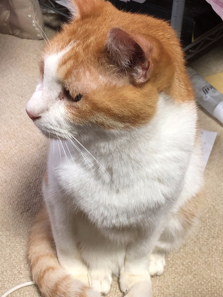 聞きます 愚痴、相談、悩み。とりあえず聞きます。一緒に悩みます。 イメージ2