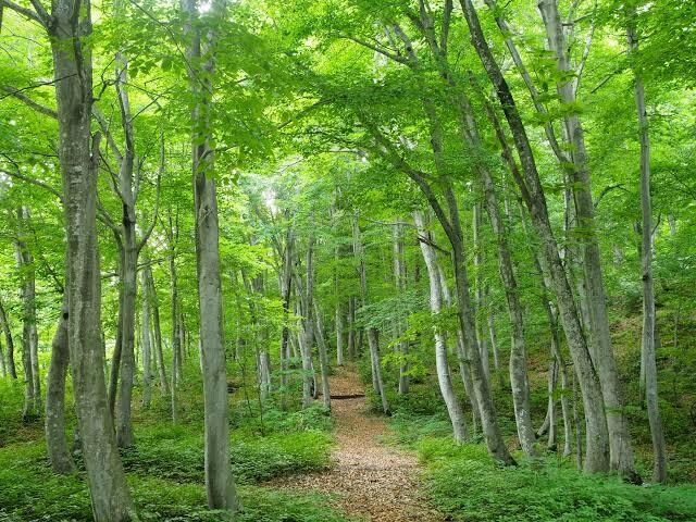 あなたの顔をたくさん褒めます 自己肯定感が低くなっている方、自信をつけたい方におすすめです イメージ3
