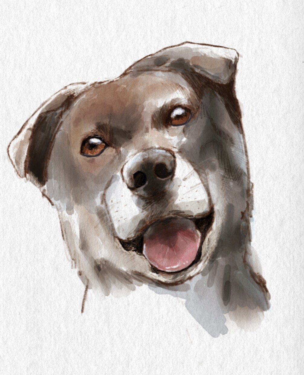 大切なペットの絵を水彩風に描きます 大切な家族のペットの写真をオシャレに水彩風に描きます イメージ5