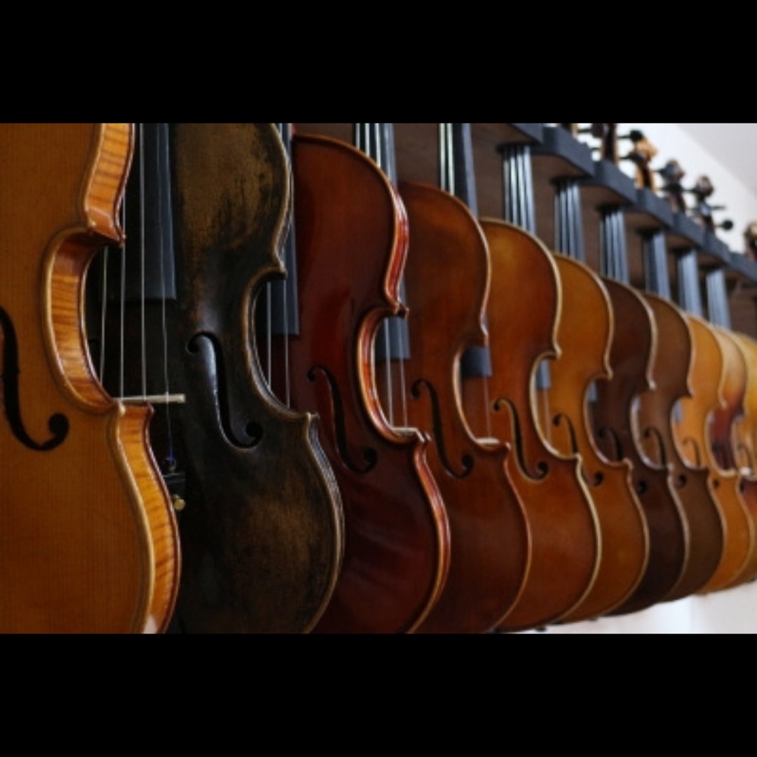 ヴァイオリン、ヴィオラの練習動画承ります ヴァイオリン、ヴィオラの練習参考動画を撮影してお送りします！ イメージ1