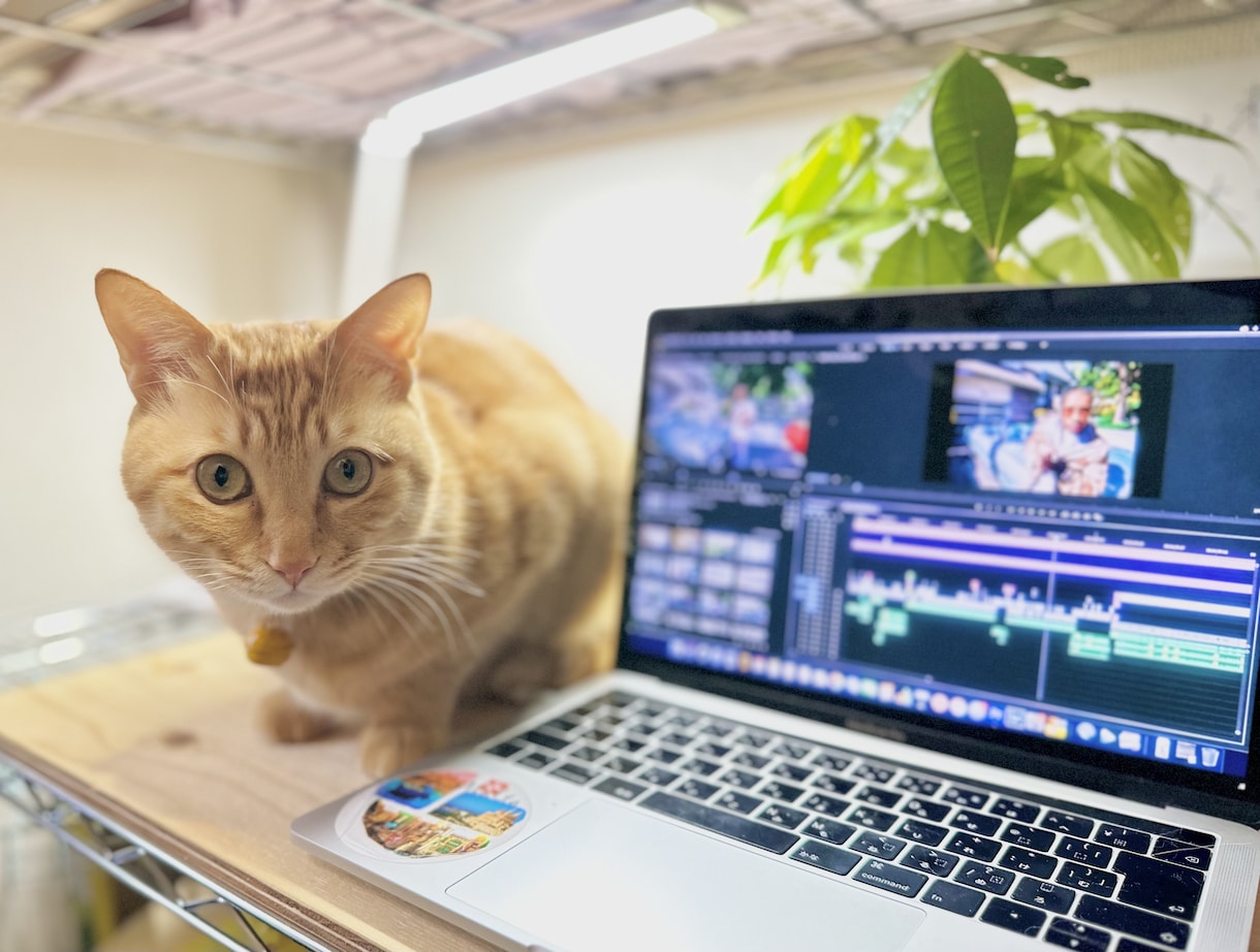 満足度の高い動画編集をします クオリティはもちろん！納品、レスポンス素早く対応いたします！ イメージ2