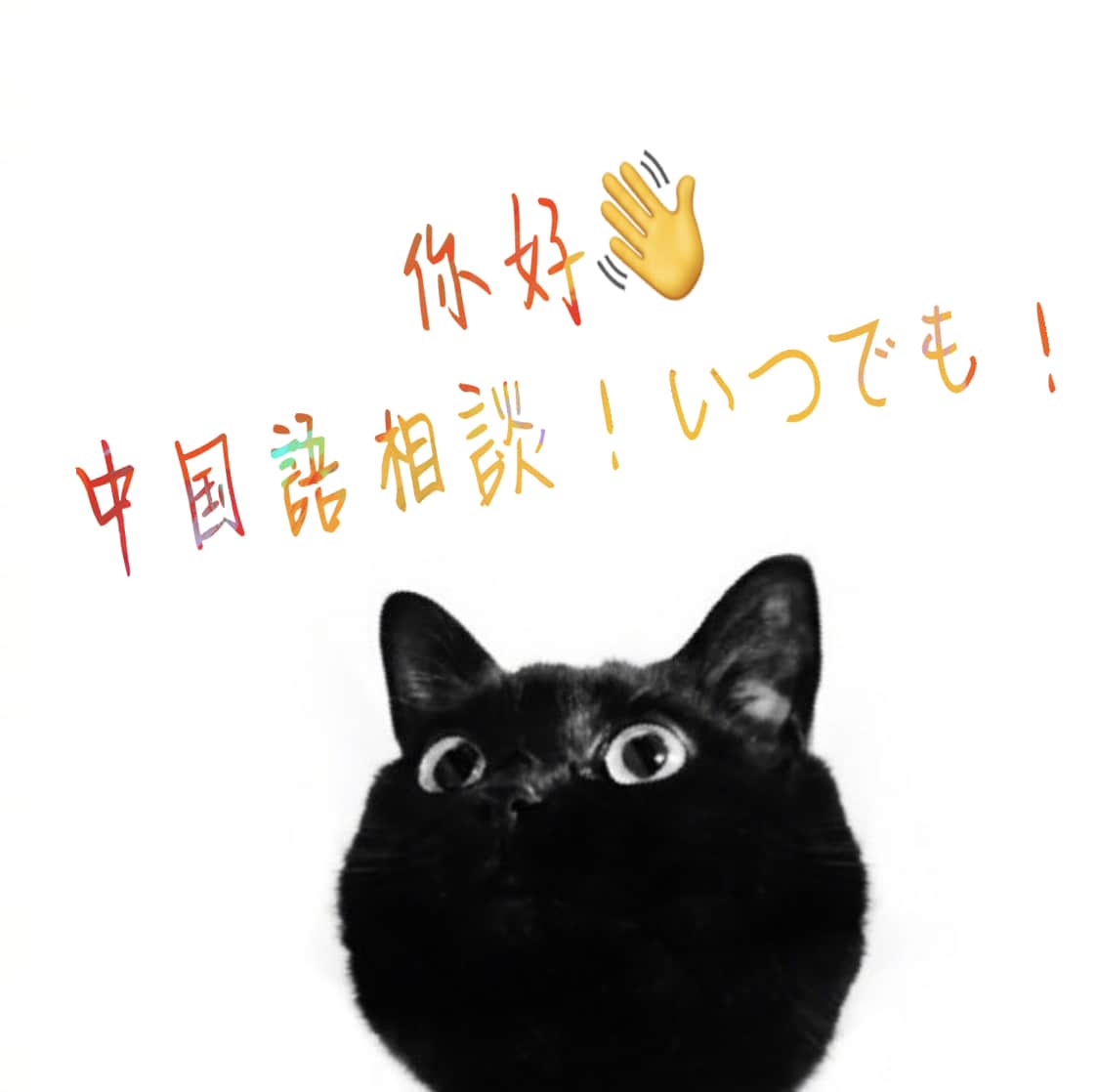 中国語⇄日本語に翻訳します！！よろしくお願いします ネイティブ！早く！正しく！ご相談くださいませ。 イメージ1