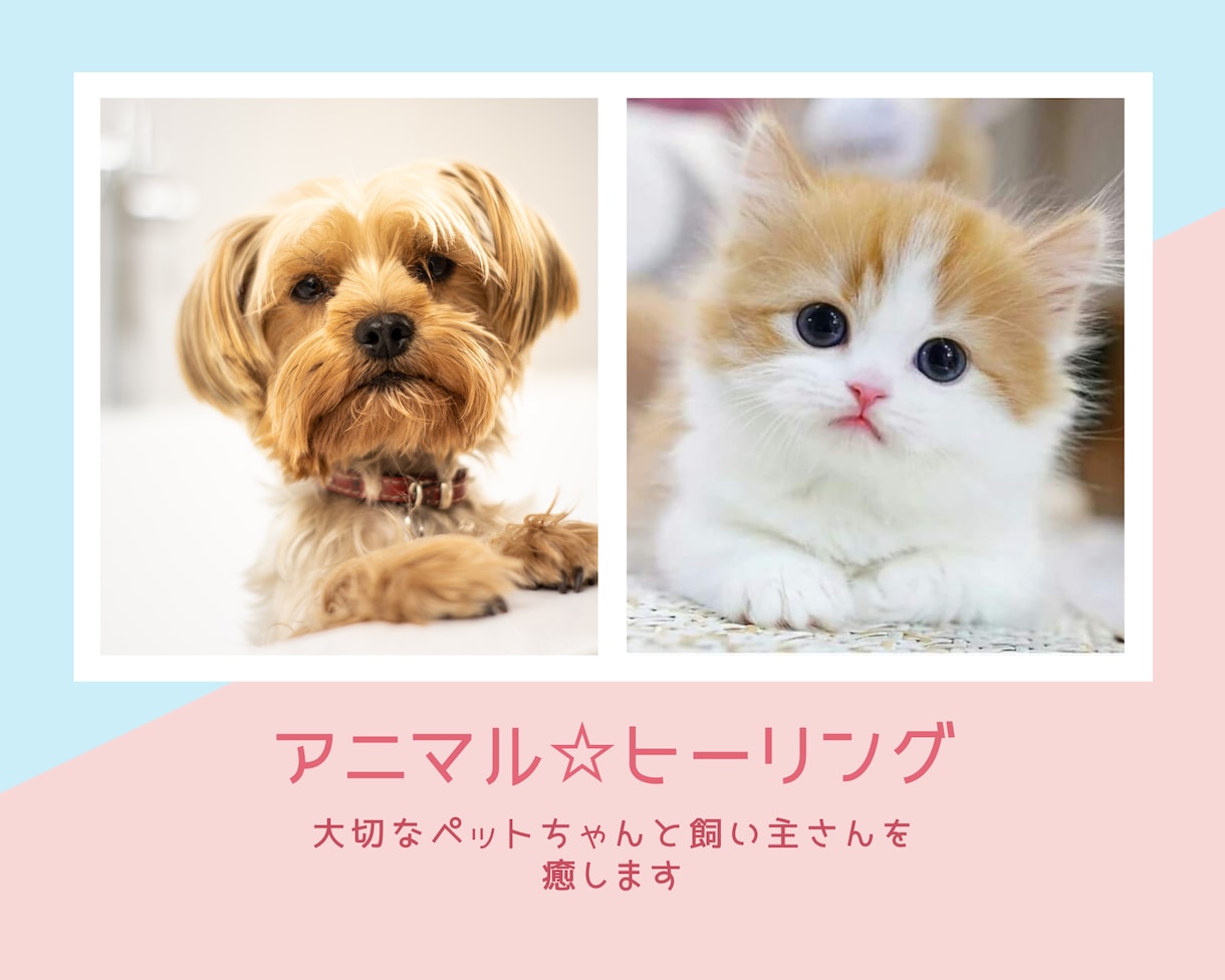 遠隔レイキヒーリング ペット 犬 猫 健康 ヒーリング - その他