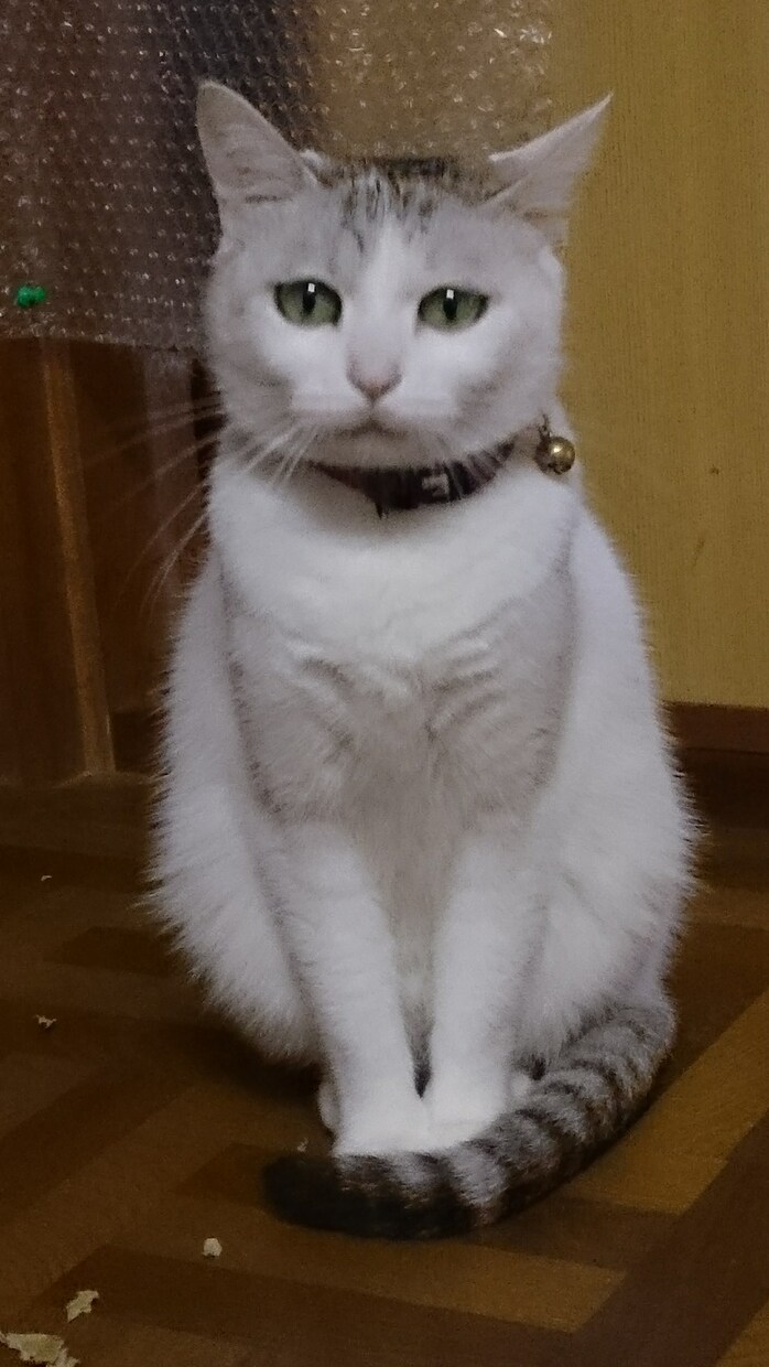 命理と易占(周易)であなたの恋の行方を占います 片想い.恋愛.不倫.離婚問題…男女の問題なら何でもどうぞ！ イメージ4