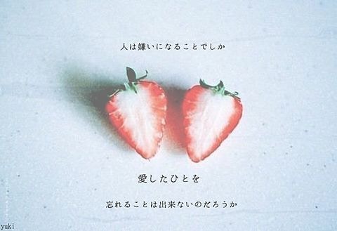サイグラムを使って彼が好きな会話のルールを調べます 彼がもって生まれた個性を知り、自分との違いを認識したい方へ イメージ1