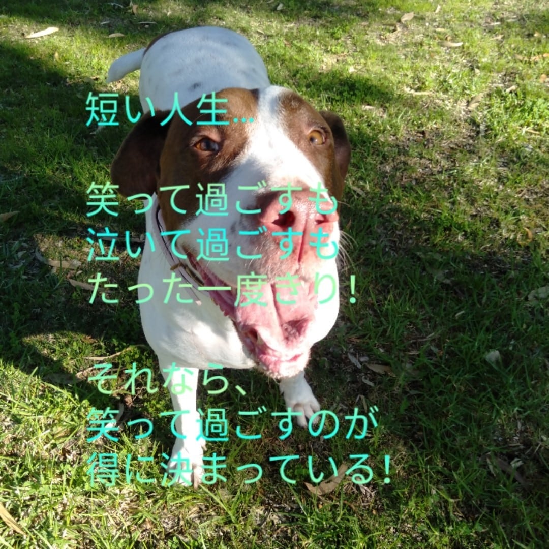 心の曇り空、意識改善、人生迷子等のお手伝いします 思考方を少し変えるだけで、今までとは違う景色が見え始めます！ イメージ1